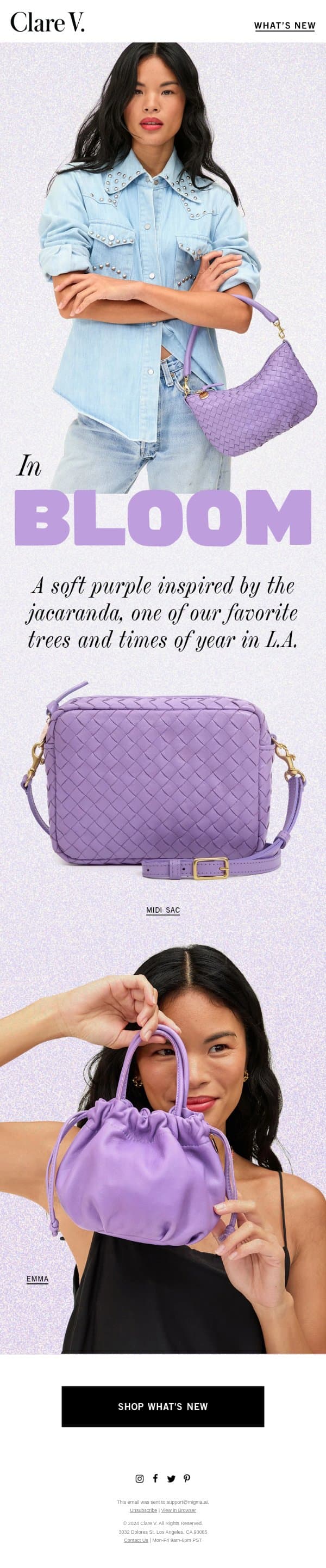 The Color Department email from Clare V. screenshot