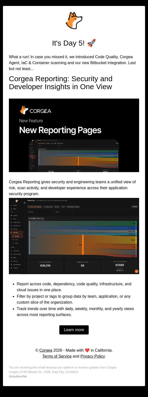 Launch Week Complete - New Reporting email from Corgea screenshot