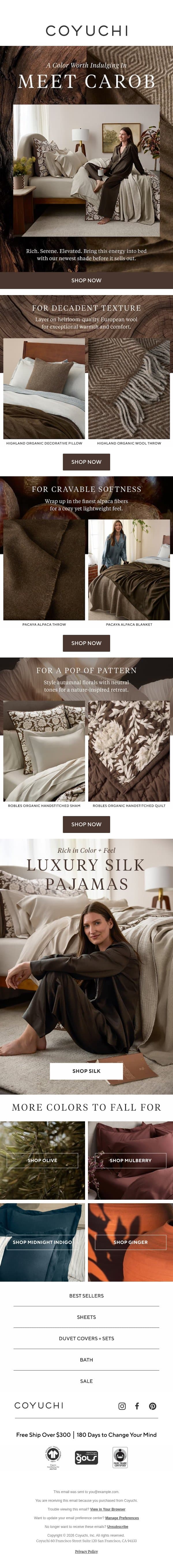 The Color Your Bed is Craving email from Coyuchi screenshot