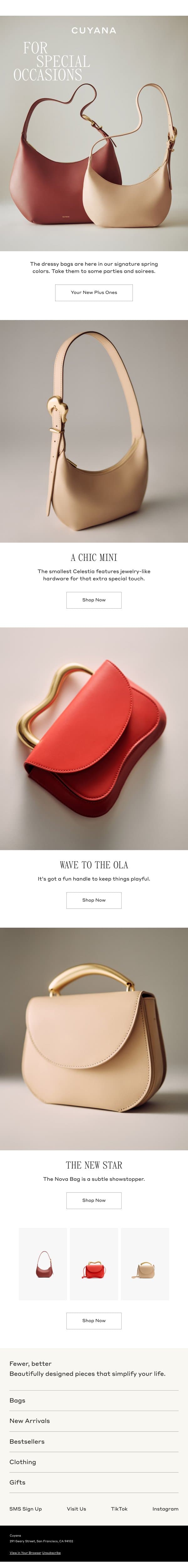 If Your Plus One is a Bag email from Cuyana screenshot