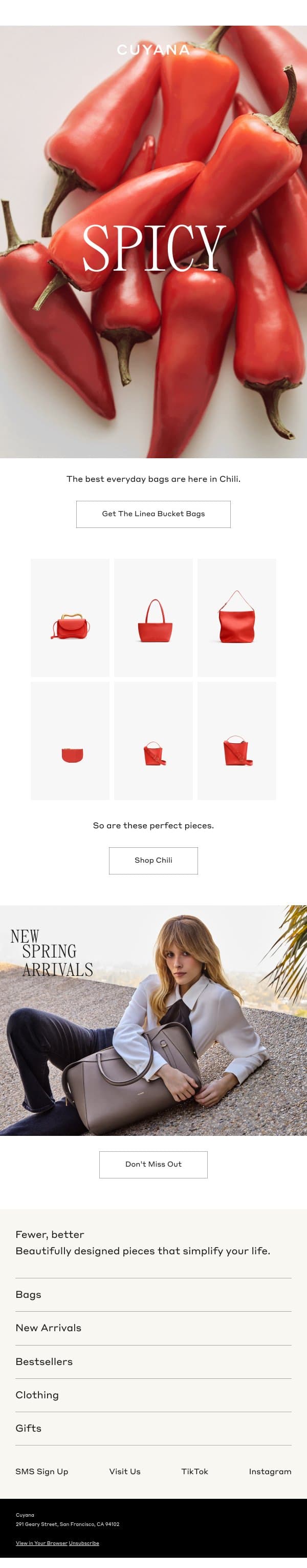 New Pieces in Chili email from Cuyana screenshot