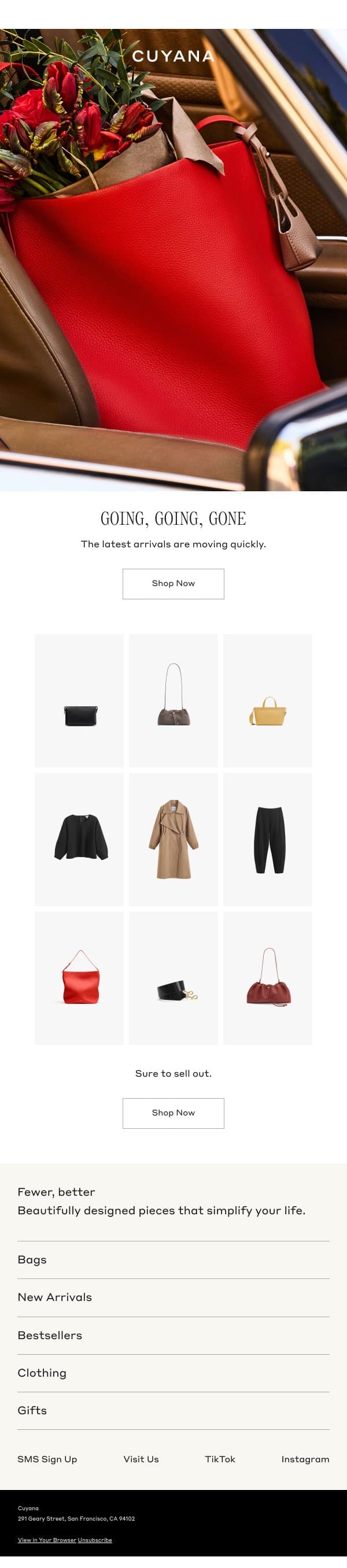 Going Fast email from Cuyana screenshot