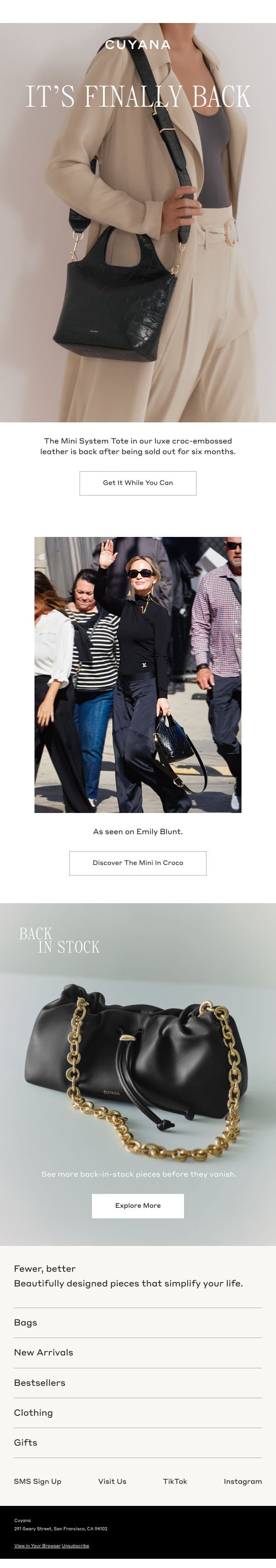 The Mini System in Croco is Back in Stock email from Cuyana screenshot