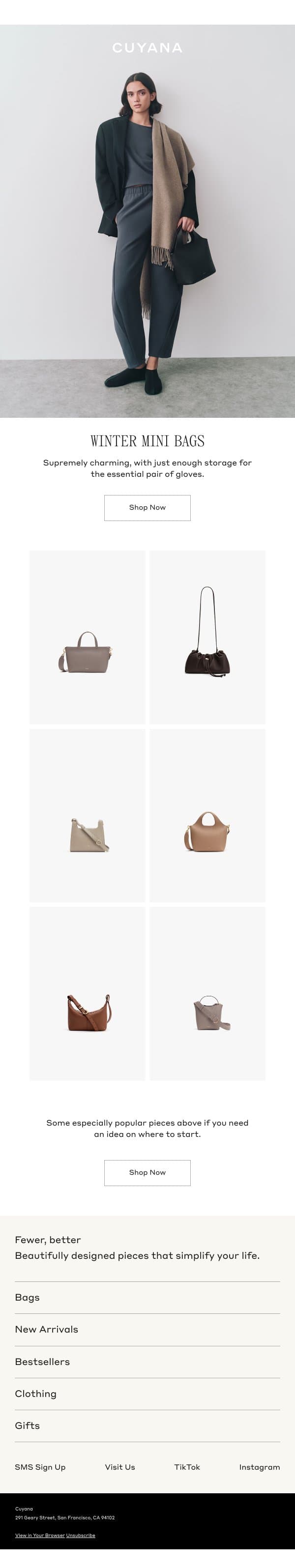 Winter Mini Bags email from Cuyana screenshot
