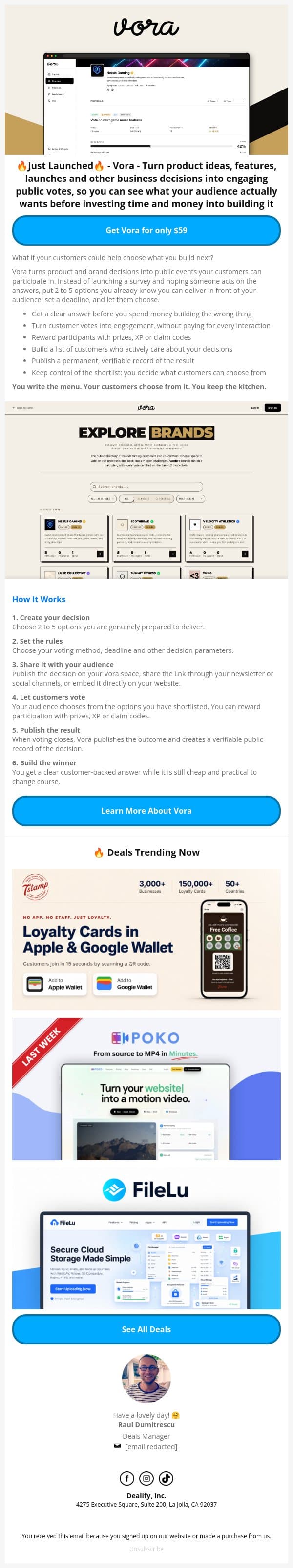 🔥 Just Launched Lifetime Deal: Vora - What If Your Customers Chose Your Next Product? email from Dealify screenshot