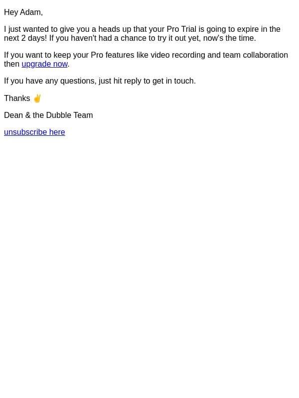 Your Pro Trial expires soon! email from Dubble screenshot