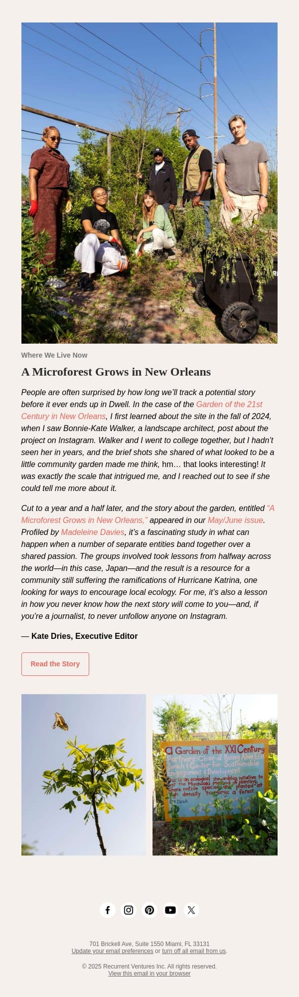 A Microforest Grows in New Orleans email from Dwell screenshot