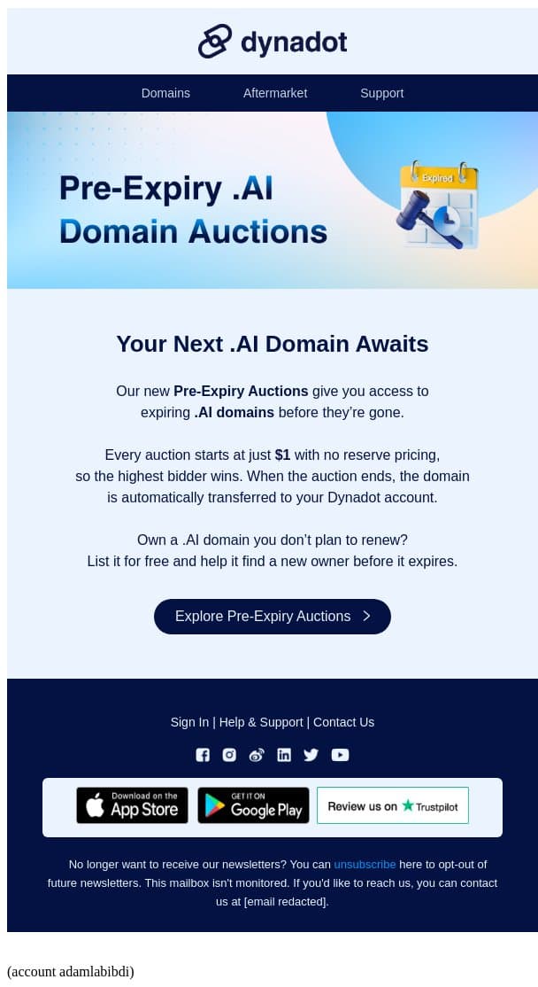Introducing Pre-Expiry .AI Domain Auctions email from Dynadot screenshot