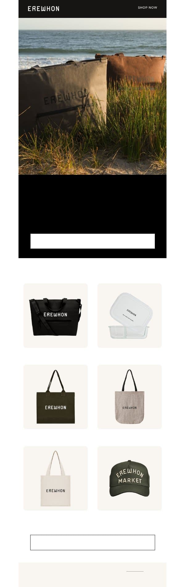 Take Erewhon With You email from Erewhon screenshot