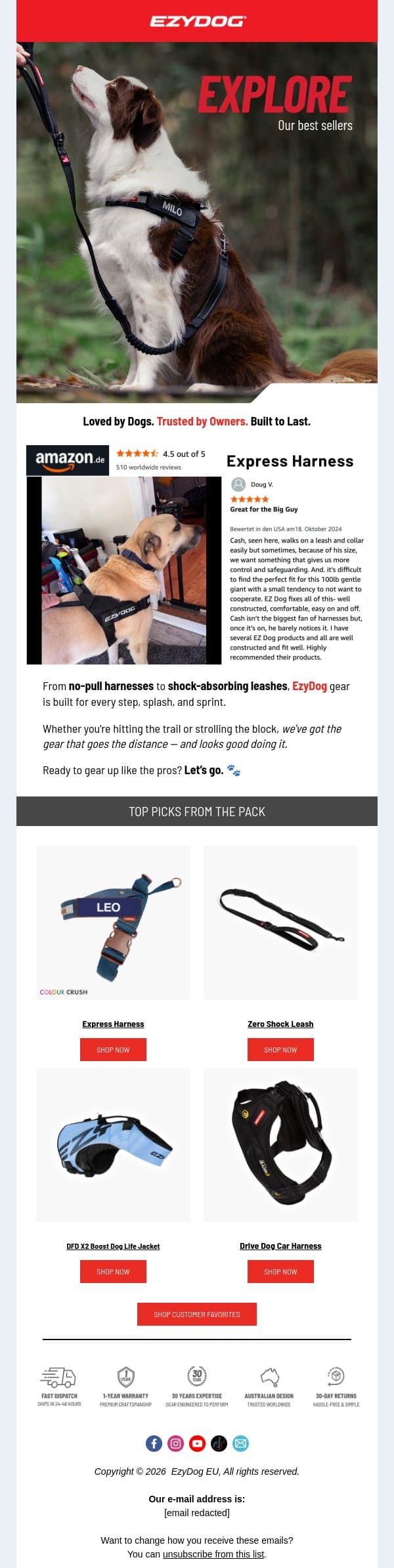 What Makes EzyDog Different? email from EzyDog screenshot