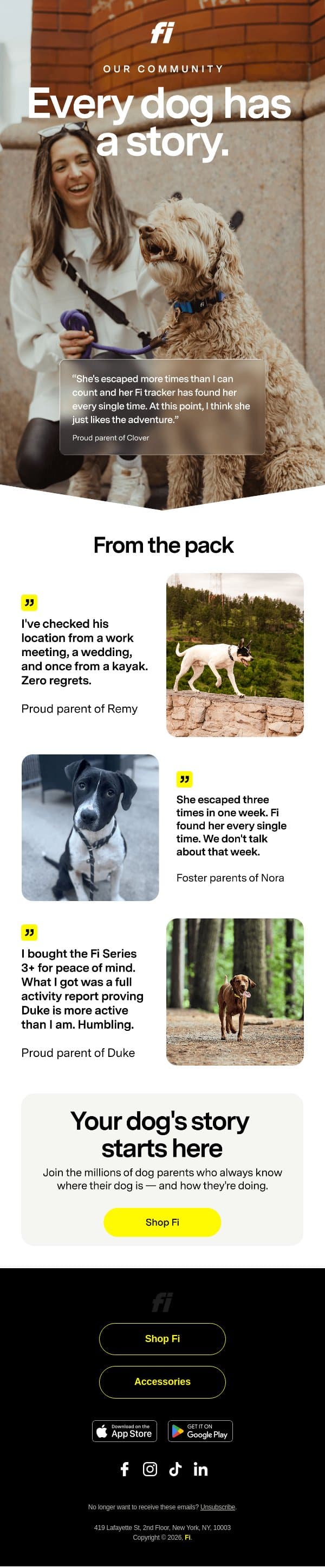 The dogs have spoken. email from Fi screenshot