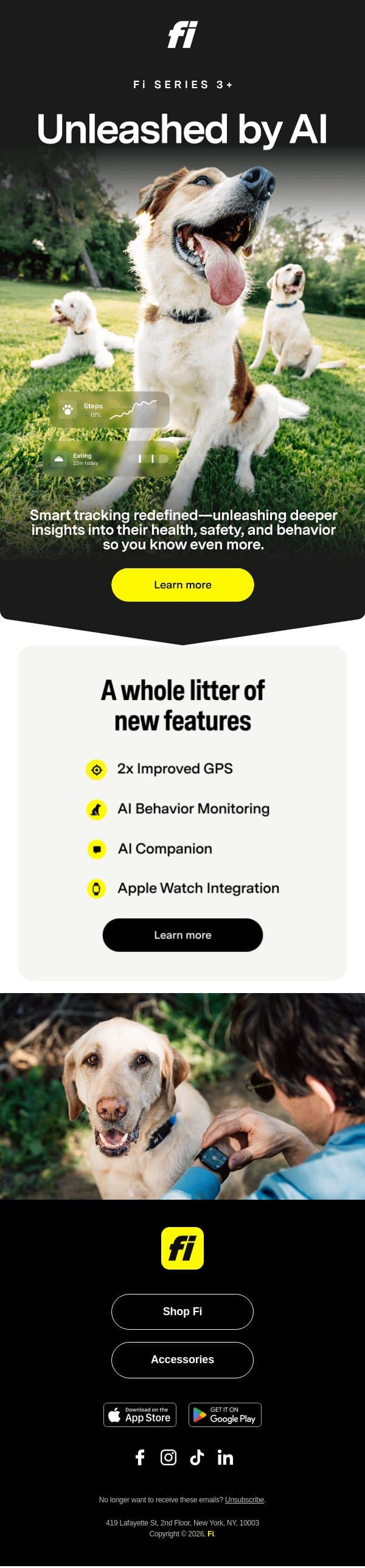 ➕ Smart collars just got a major plus up email from Fi screenshot