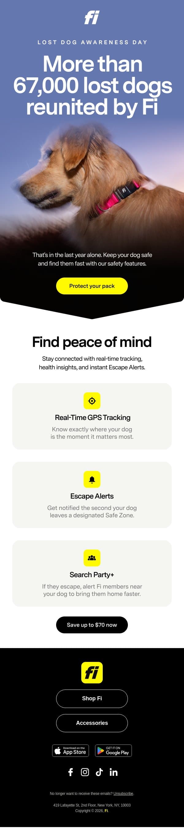 Today is Lost Dog Awareness Day 🐶 email from Fi screenshot