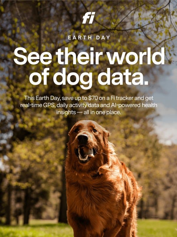 World of data. One tracker. email from Fi