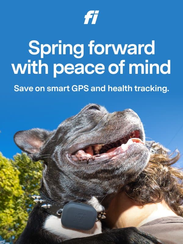 The First Day of Spring is here 🌸 email from Fi