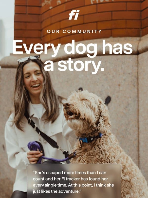 The dogs have spoken. email from Fi