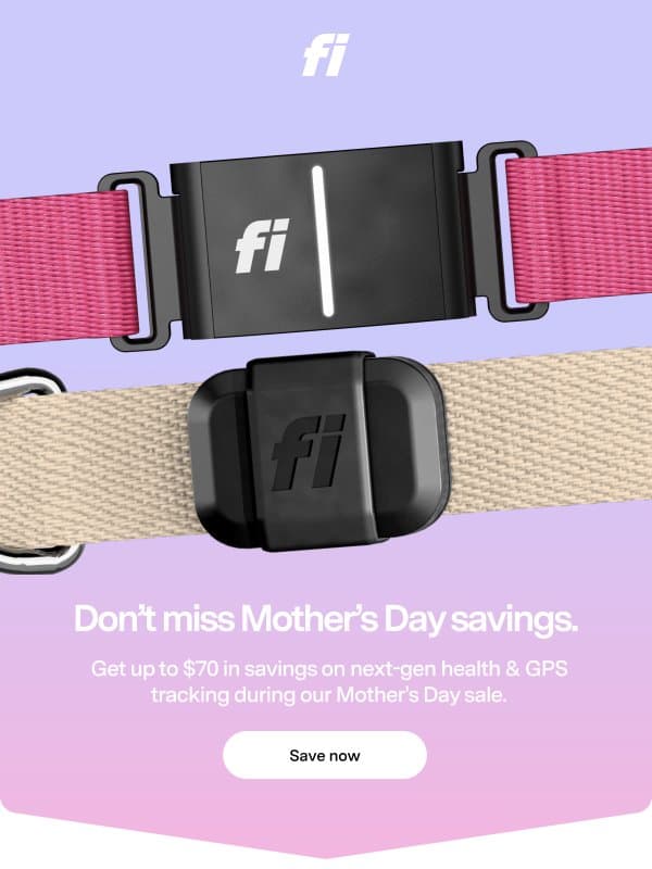 Giving dog moms peace of mind email from Fi