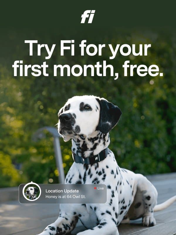 Experience smarter tracking free for 30 days email from Fi
