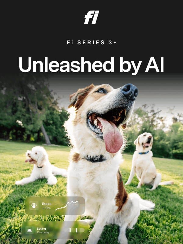 ➕ Smart collars just got a major plus up email from Fi