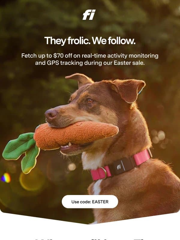 🥚 Fill your Easter basket with this deal email from Fi