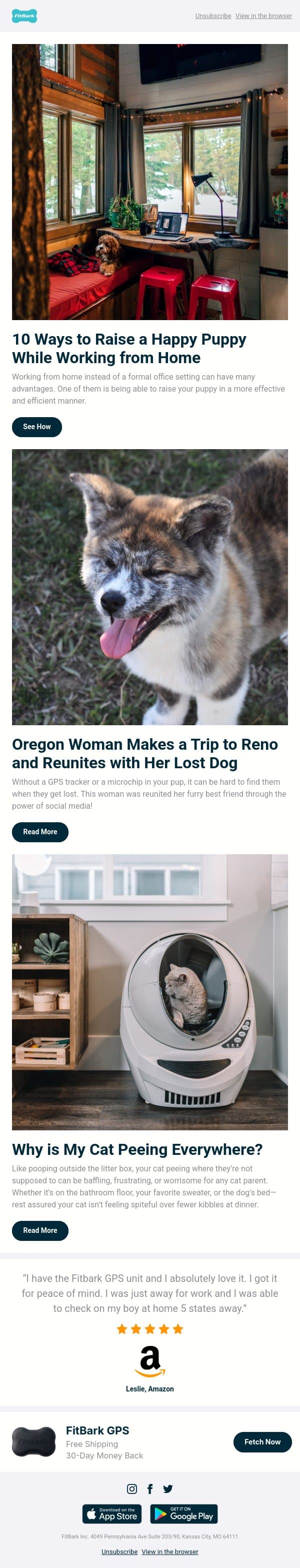 How to Raise a Happy Puppy While Working from Home email from FitBark screenshot