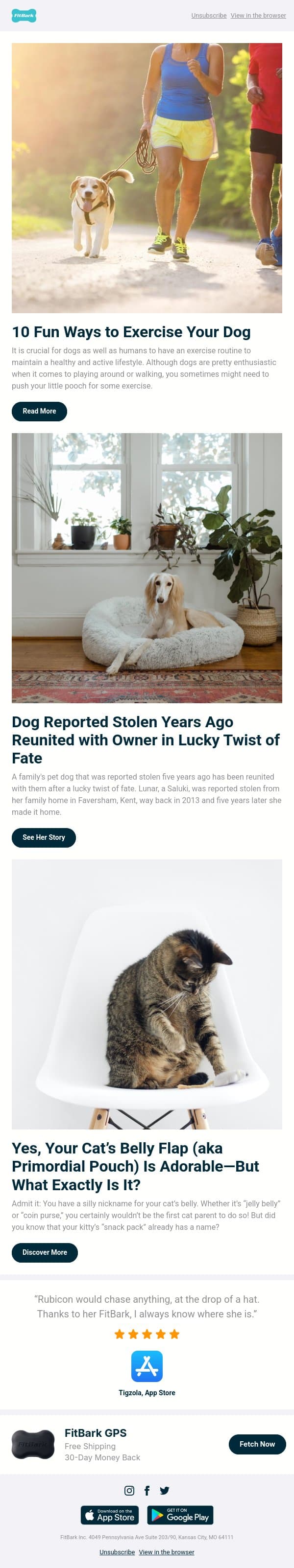 10 Fun Ways to Exercise Your Dog email from FitBark screenshot