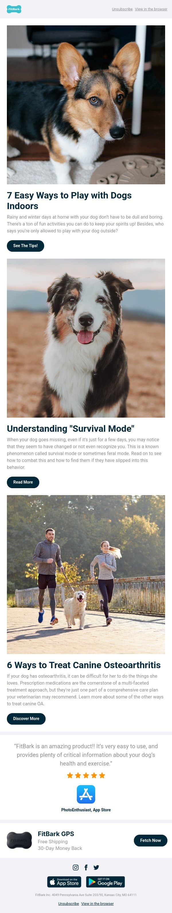 Indoor Activities to Do With Your Dog email from FitBark screenshot