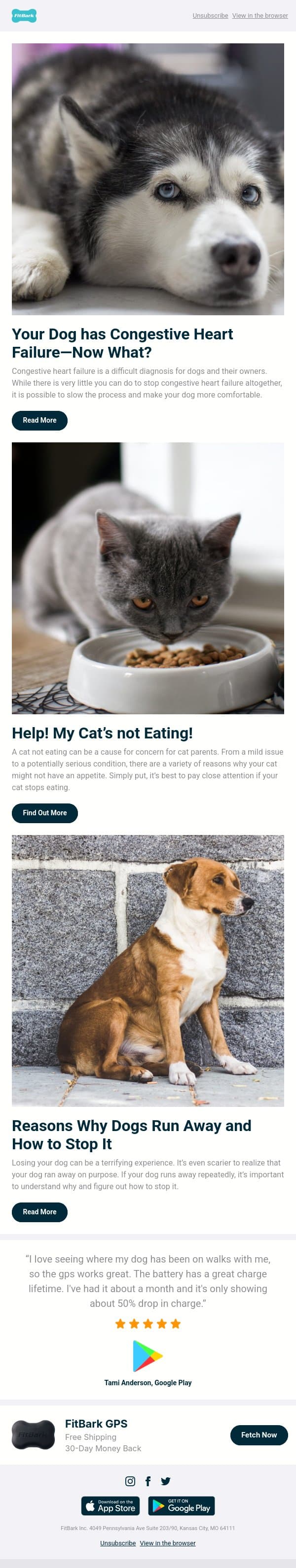 What to Do if Your Dog has Congestive Heart Failure email from FitBark screenshot