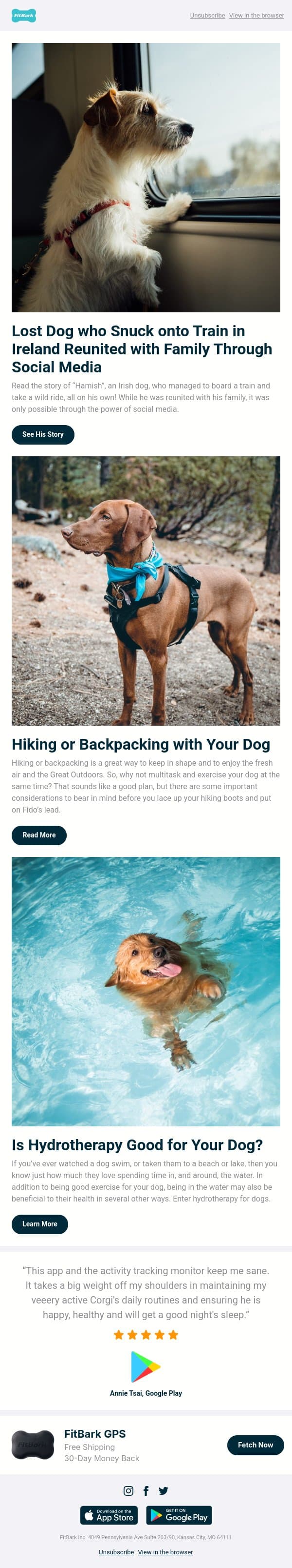 A Lost Dog Reunited With Family Through Social Media email from FitBark screenshot