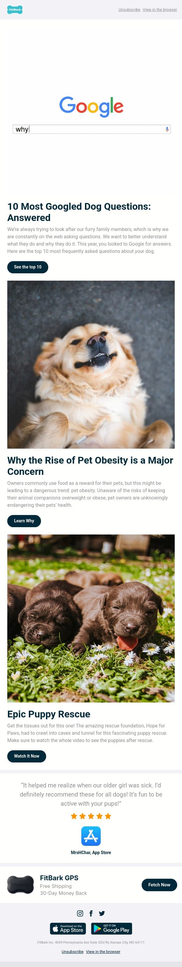 10 Most Googled Dog Questions: Answered email from FitBark screenshot