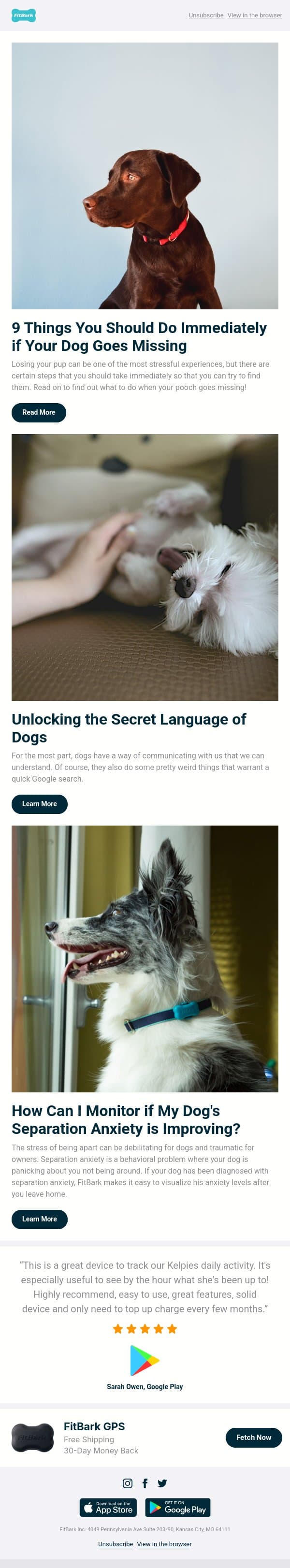 9 Things You Should Do Immediately if Your Dog Goes Missing email from FitBark screenshot