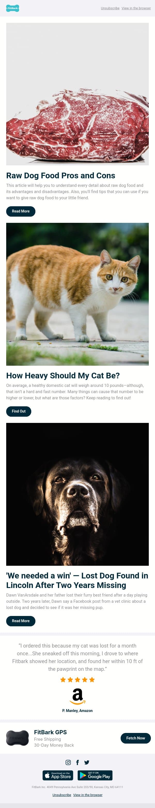 Raw Dog Food Pros and Cons email from FitBark screenshot