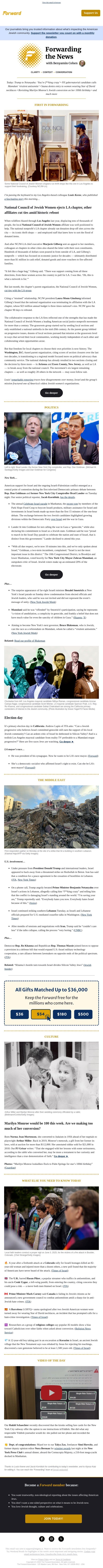 National Council of Jewish Women ejects LA chapter, other affiliates cut ties email from Forward screenshot