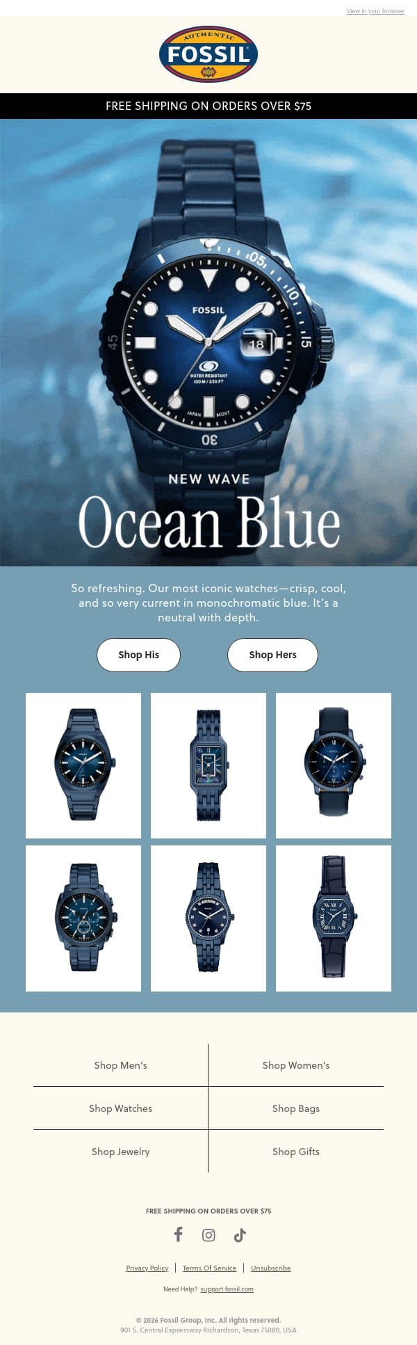 Into The Blue 🌊 email from Fossil screenshot
