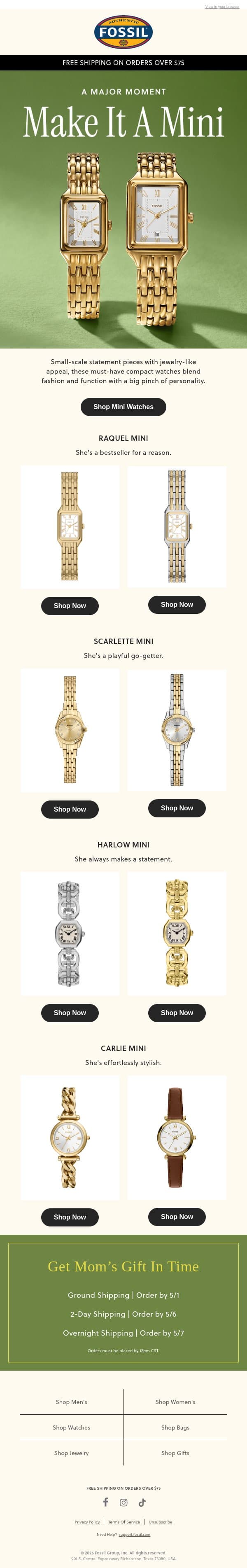 Life's About The Little Things email from Fossil screenshot