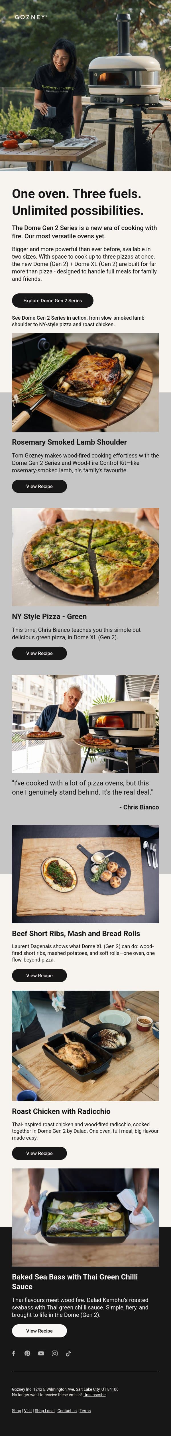 One Oven. Three Fuels. Unlimited Possibilities. email from Gozney screenshot