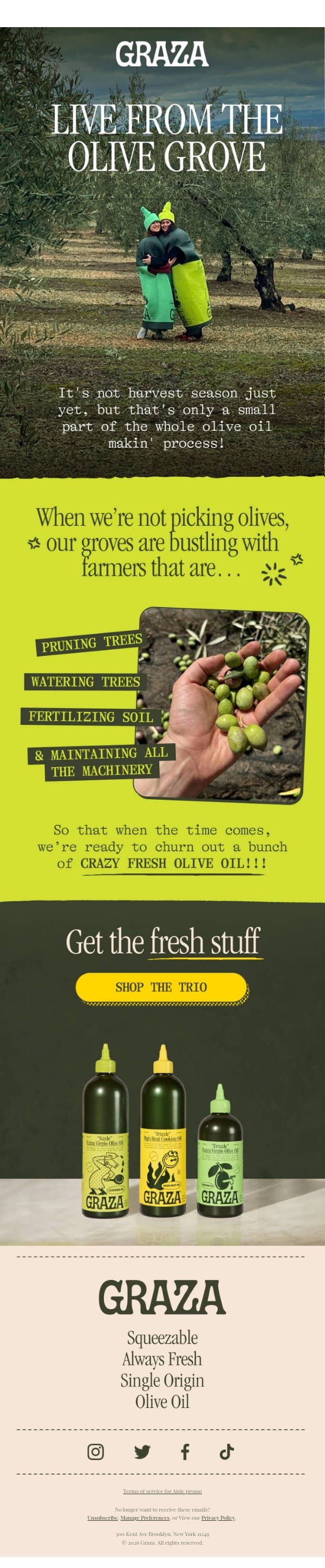Live from The Olive Grove 🫒 email from Graza screenshot