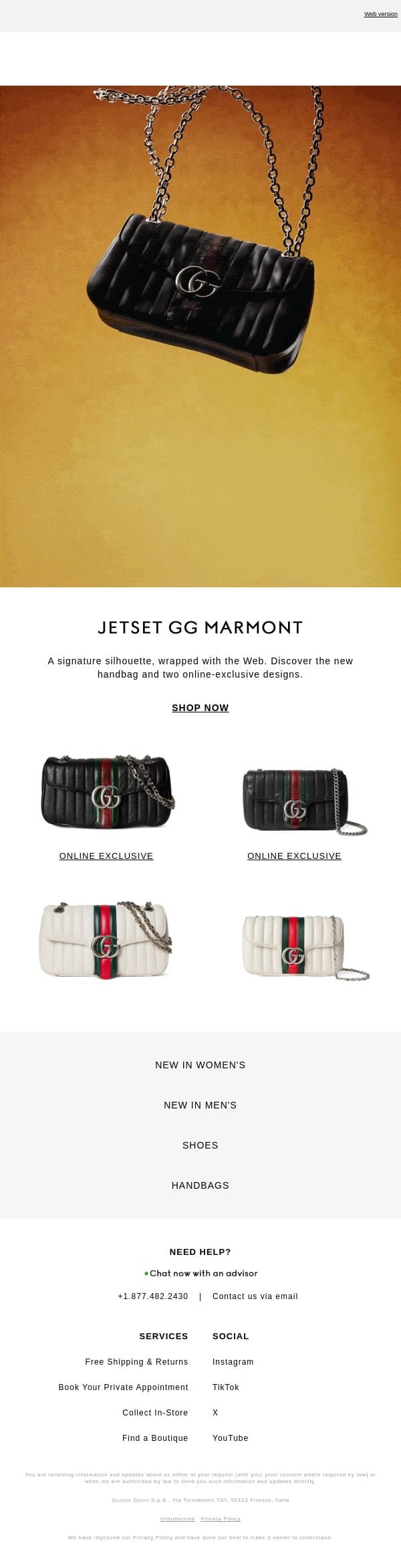 The New Jetset GG Marmont email from Gucci screenshot