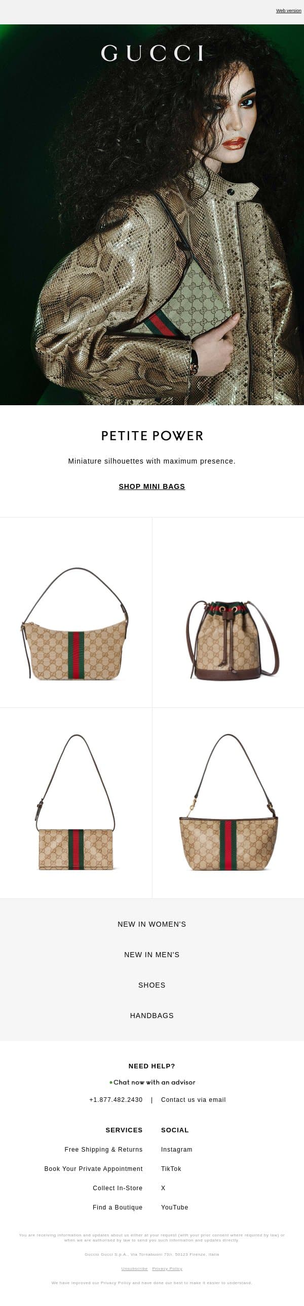 Monogram Minis email from Gucci screenshot