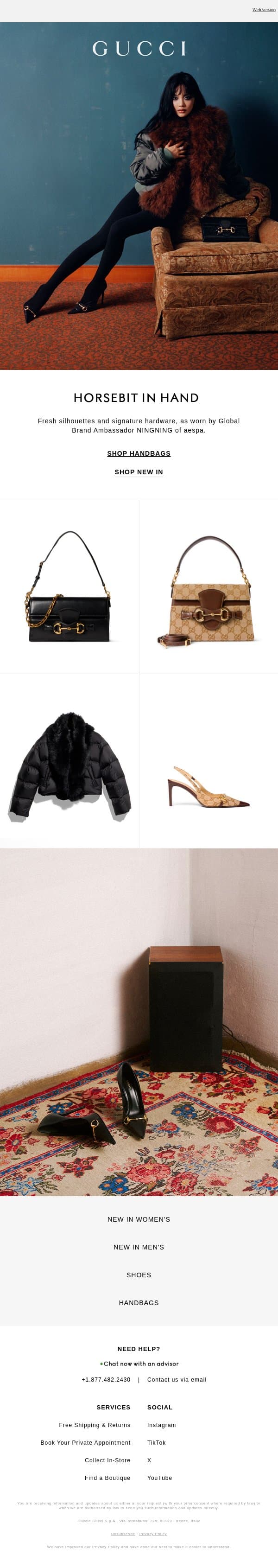The Horsebit Effect email from Gucci screenshot