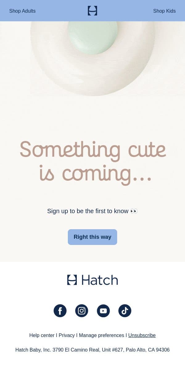 Something new arrives soon...🤫 email from Hatch screenshot