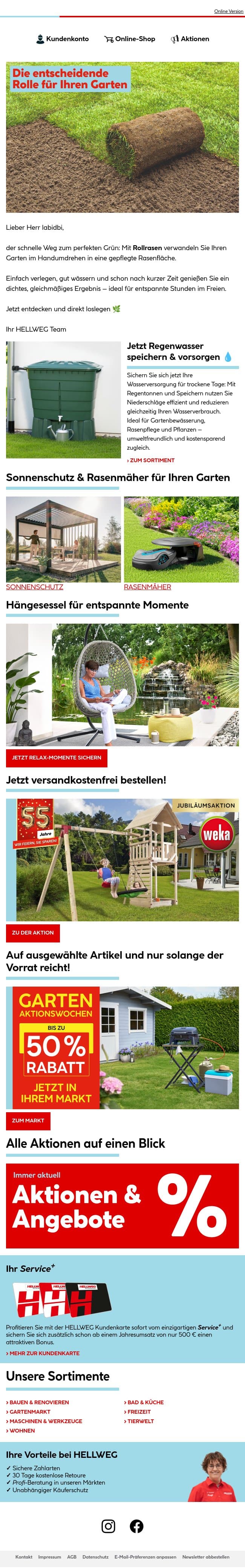 Sofort sattes Grün mit Rollrasen 🌱 email from Hellweg screenshot