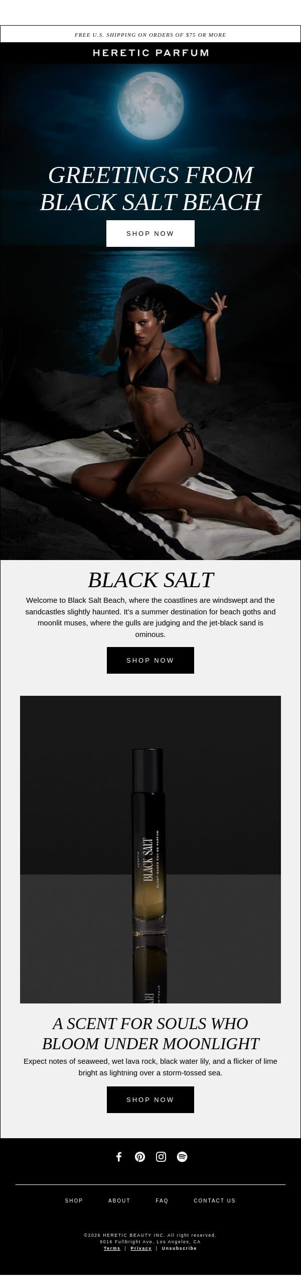 BLACK SALT BEACH IS OPEN email from Heretic screenshot