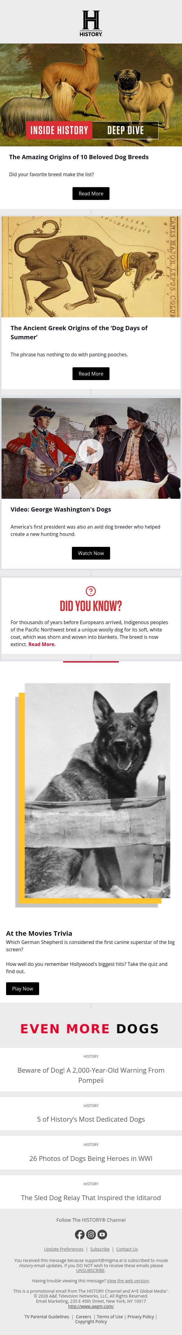 The Amazing Origins of 10 Popular Dog Breeds email from History screenshot