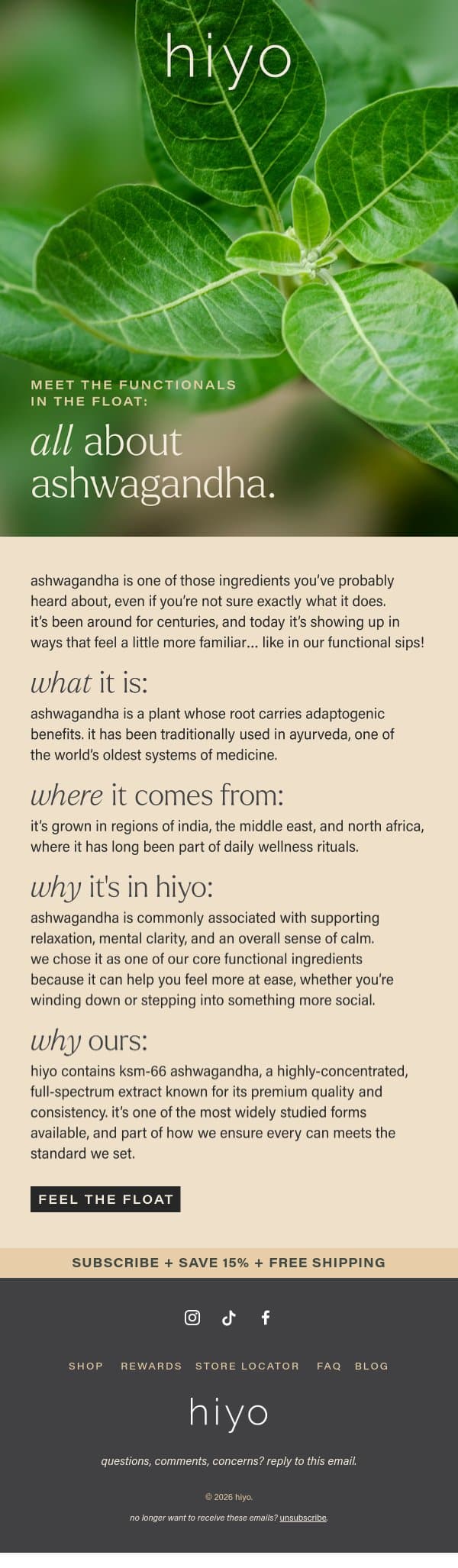 ASHWAGANDHA, EXPLAINED. email from Hiyo screenshot