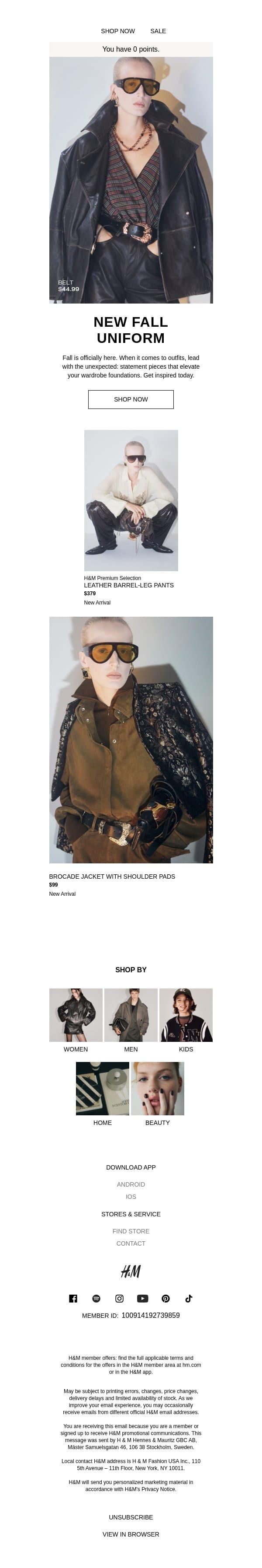 Easy fall formulas to copy & paste email from H&M Kids screenshot
