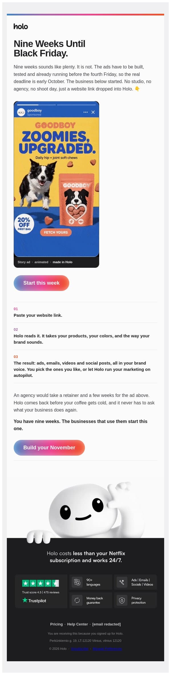 9 weeks until Black Friday 🙀 email from Holo screenshot