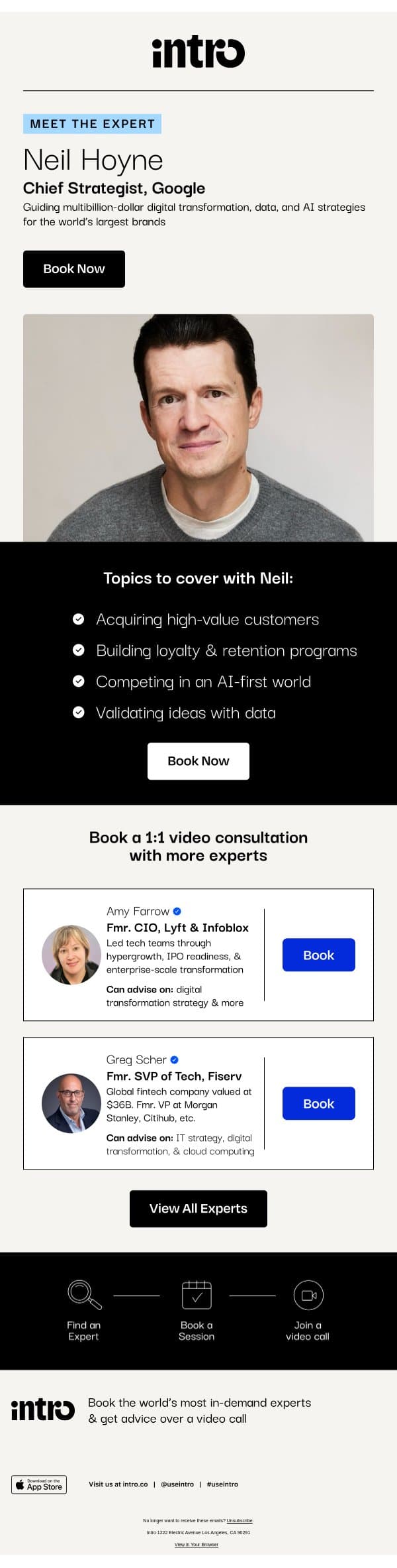 You Neil (Chief Strategist at Google) email from Intro screenshot
