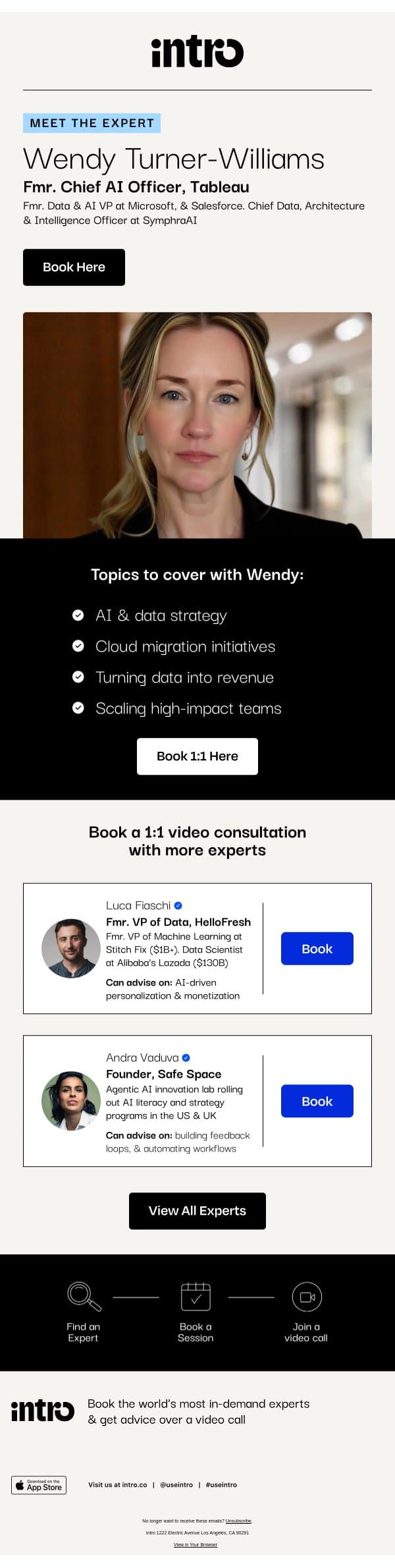 You Wendy (Fmr. Chief AI Officer at Tableau) email from Intro screenshot