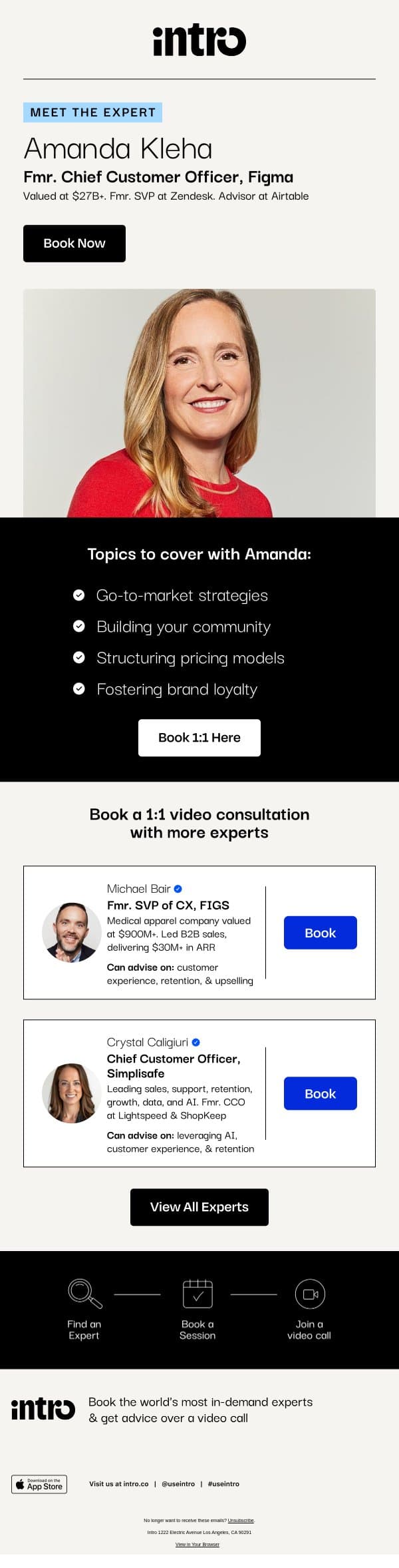 You Amanda (Fmr. Chief Customer Officer at Figma) email from Intro screenshot